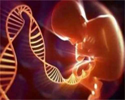 重庆代孕试管孕中介 - 可报销的辅助生殖技术项目