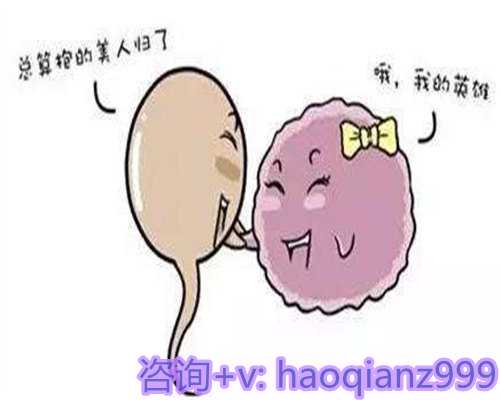 南京同性代生子,1重庆试管婴儿哪个医院做的最好