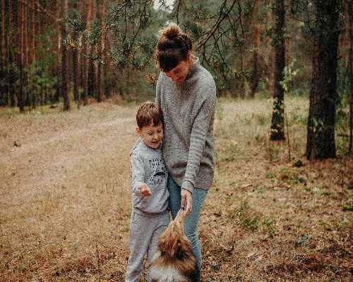 做试管找医生!看国内外试管婴儿医院排行榜_费用_医院_攻略