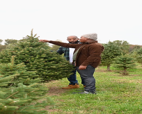 代孕机构可信吗？重庆人工授精前的检查有效期是多久？