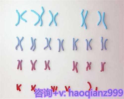 重庆助孕机构哪家好,多久排一次精子质量高？精子活力检测报告做了多久能拿到？