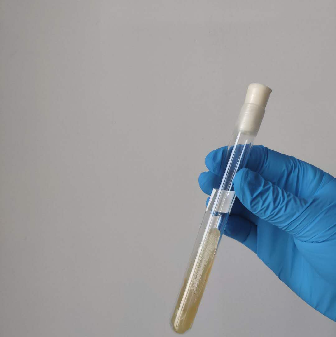 重庆代怀是人工受精吗,乌克兰试管医院排名