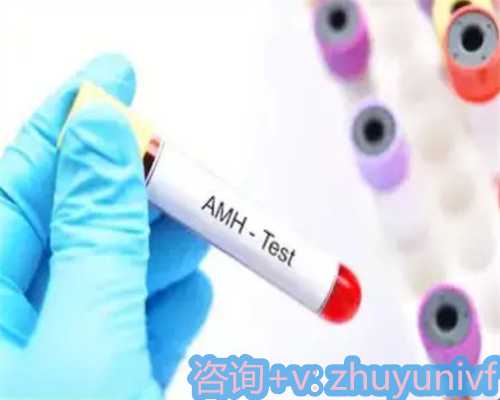 重庆提供代生3到5厘米白色卵石，用于借种繁殖